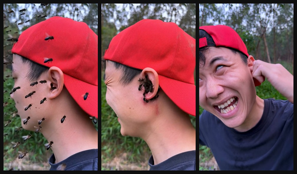 Survival trick for a face covered in insects opening hook frames